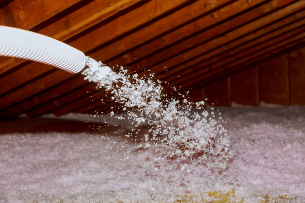 Best Eco-Friendly Insulation in Anahola, HI