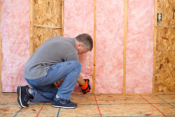 Best Spray Foam Insulation in Anahola, HI